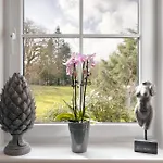 The Sanctuary - Ridgestone Watermillock
